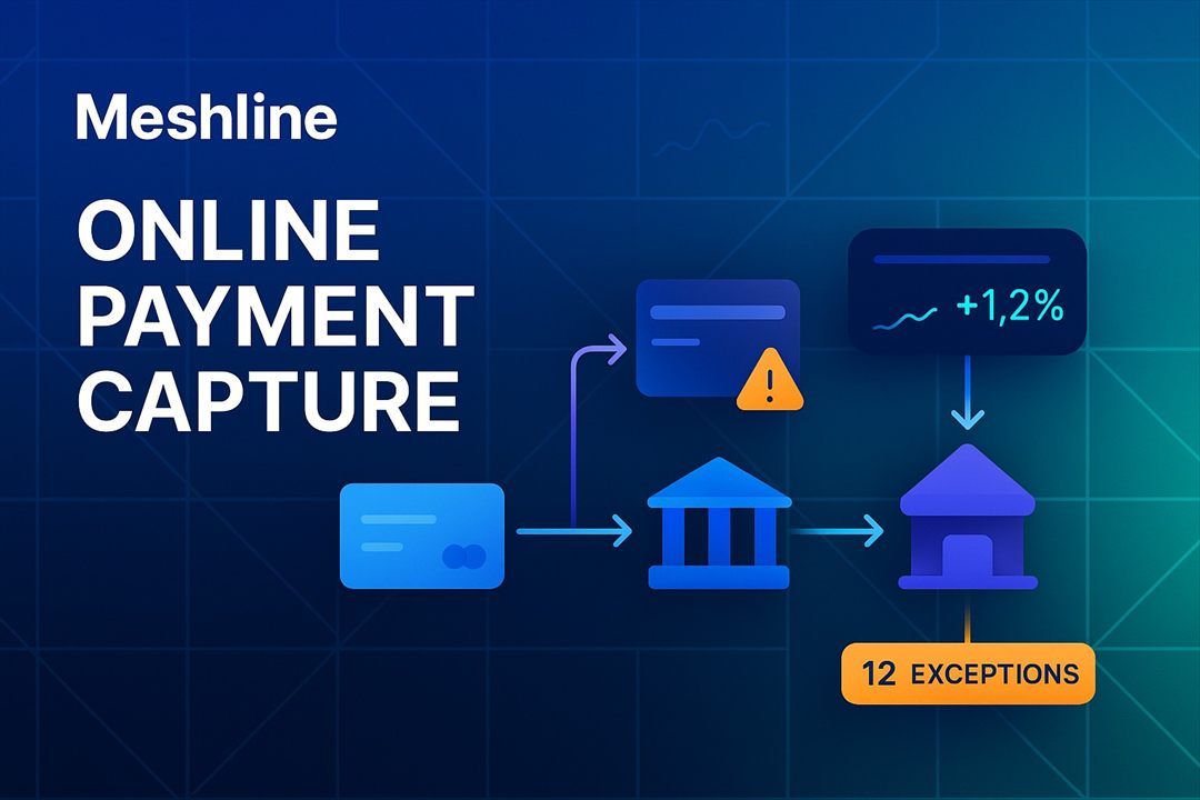 Online Payment Capture Turn Exceptions Cleaner article image